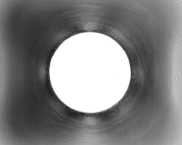 X0000088130592200706041950