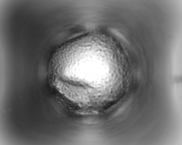 X0000088130593200706041950