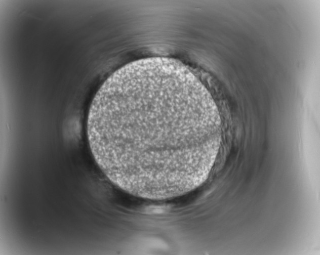 X0000088130595200706041950