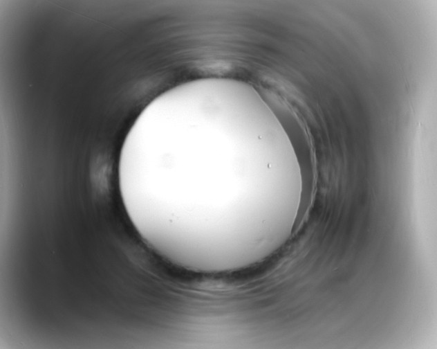 X0000088130596200706041950