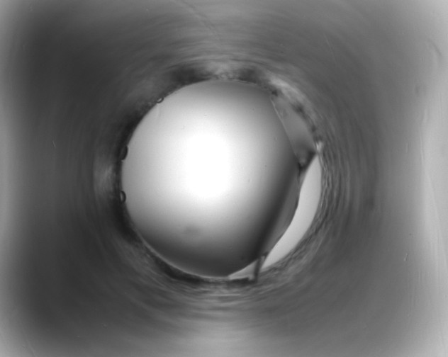 X0000088130597200706041950