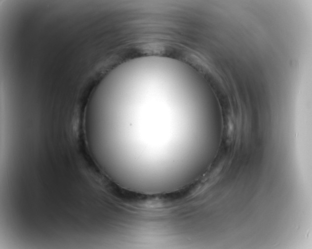 X0000088130600200706041950