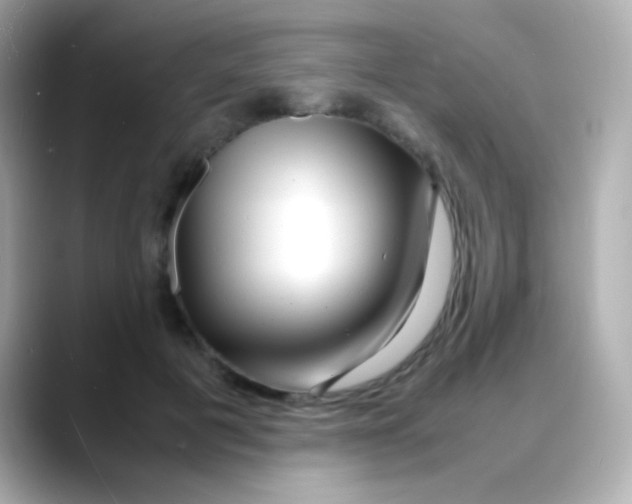 X0000088130601200706041950