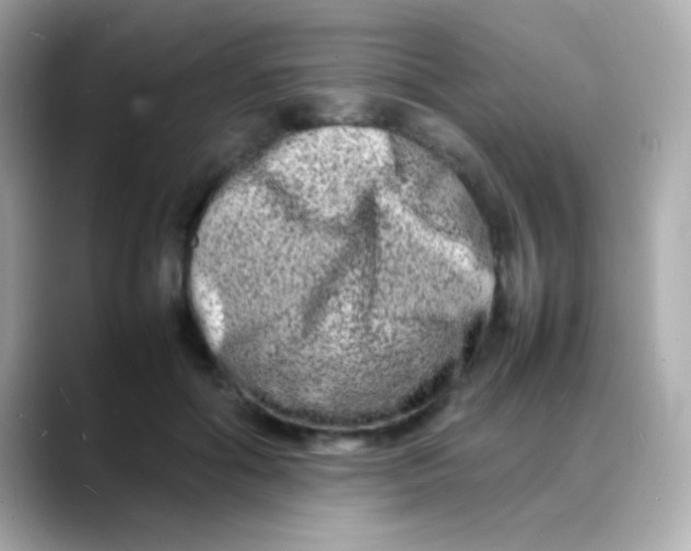 X0000088130602200706041950