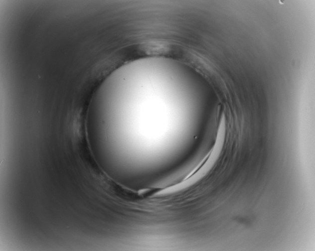 X0000088130604200706041950