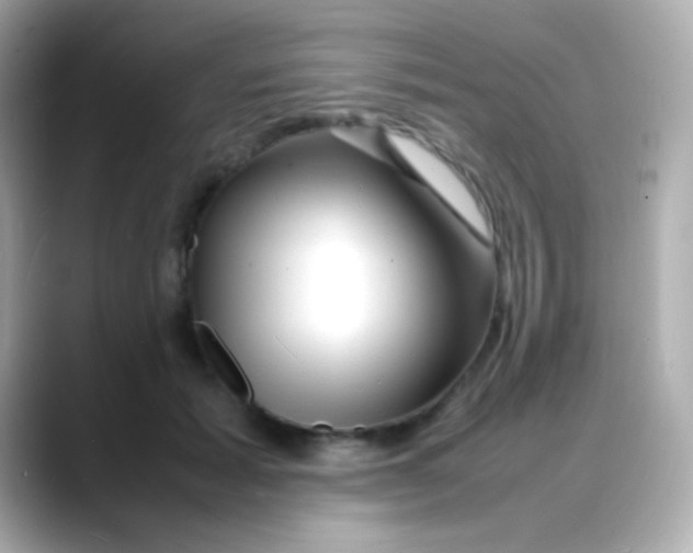 X0000088130605200706041950