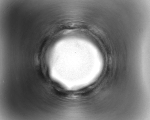 X0000088130607200706041950