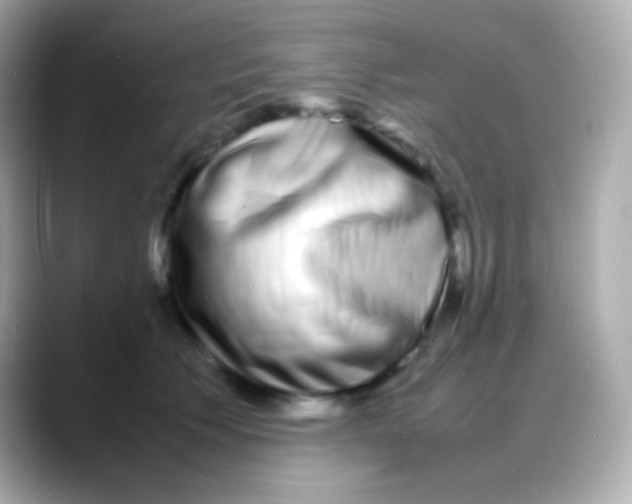 X0000088130609200706041950