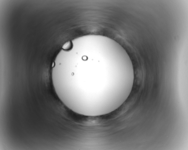 X0000088130612200706041950