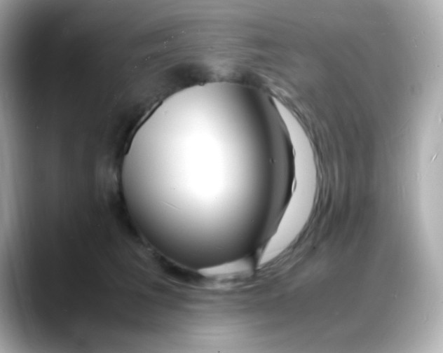 X0000088130613200706041950