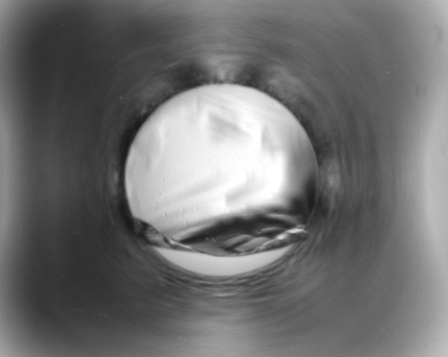 X0000088130615200706041950