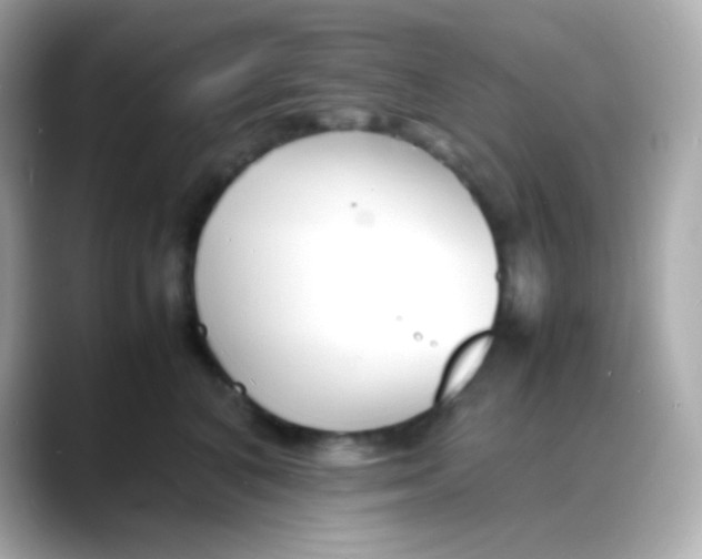 X0000088130616200706041950