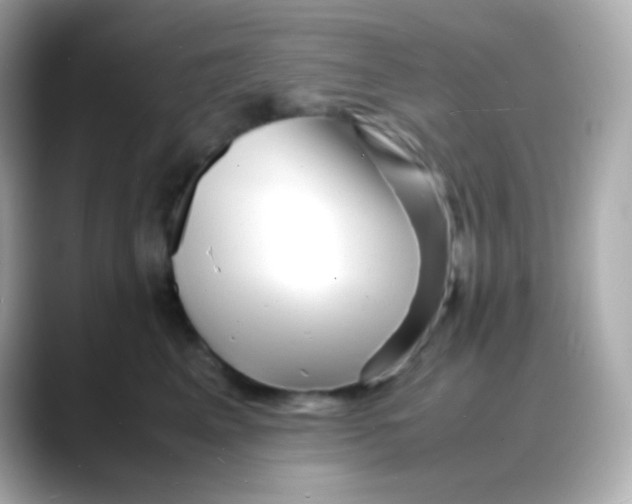 X0000088130617200706041950