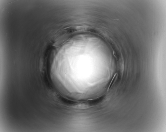 X0000088130619200706041950