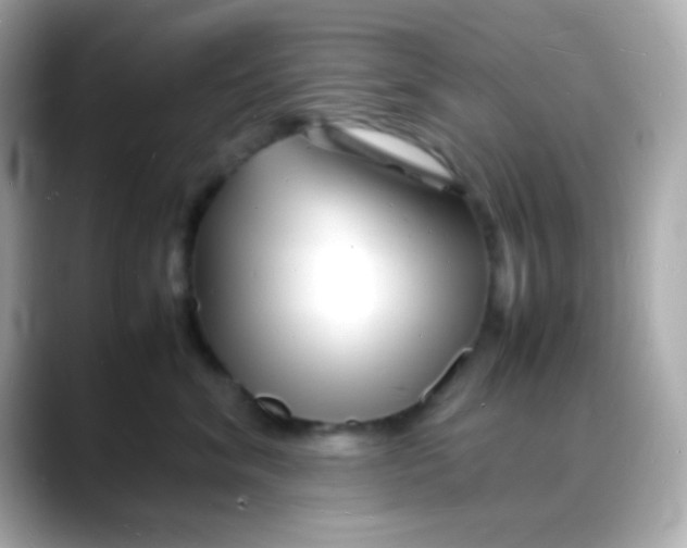 X0000088130620200706041950