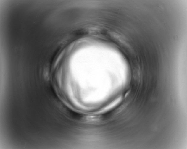 X0000088130622200706041950