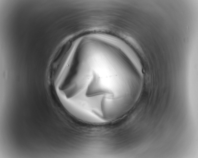 X0000088130628200706041949