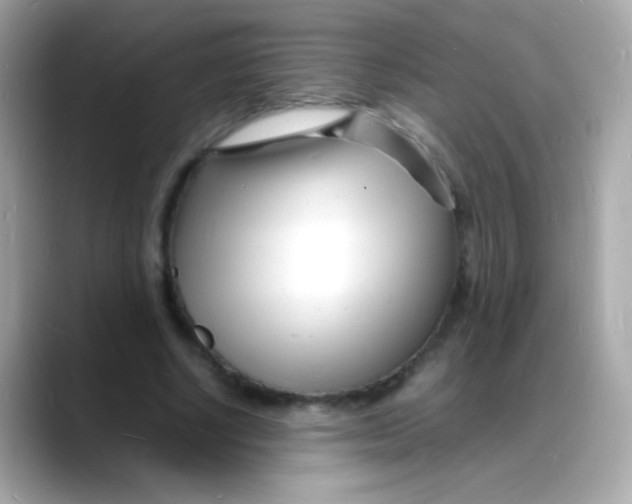 X0000088130634200706041949