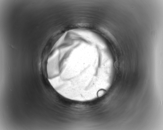 X0000088130635200706041949