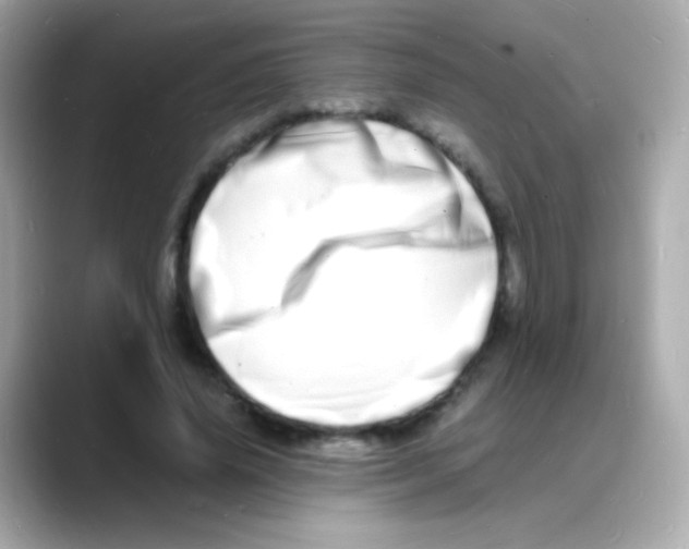 X0000088130636200706041949