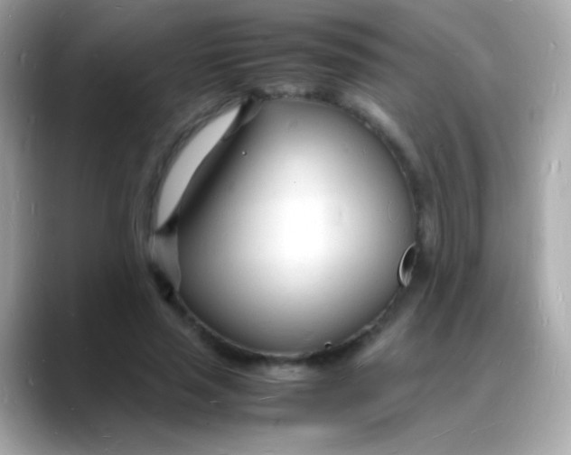 X0000088130637200706041949