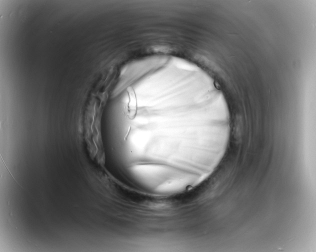 X0000088130639200706041949