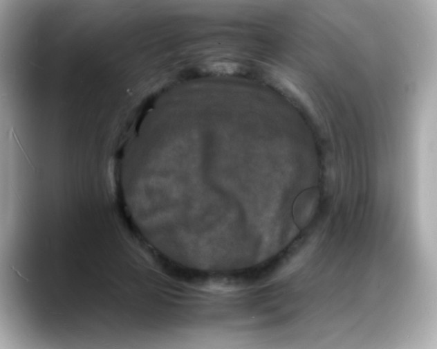 X0000088130641200706041949