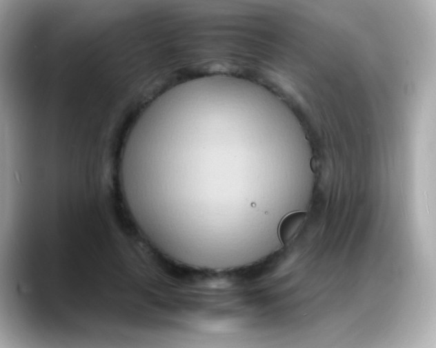 X0000088130643200706041949