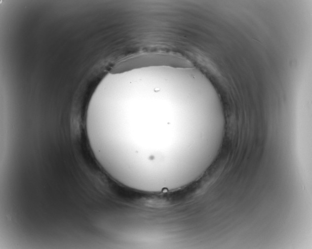 X0000088130644200706041949