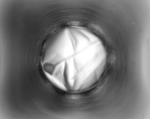 X0000088130645200706041949