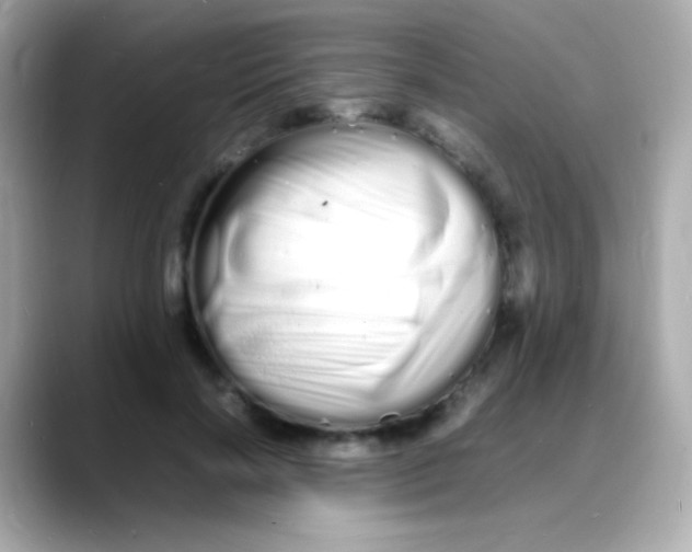 X0000088130646200706041949