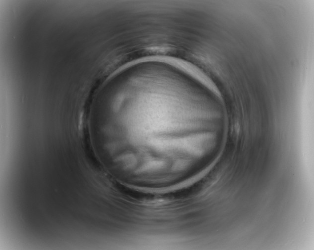 X0000088130647200706041949