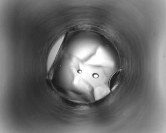 X0000088130649200706041949