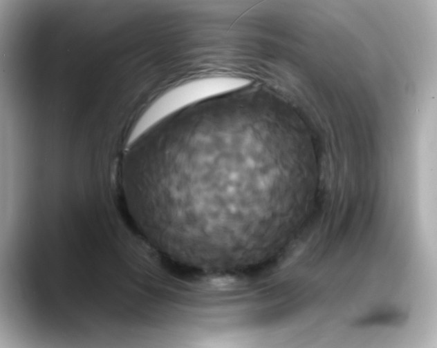 X0000088130650200706041949