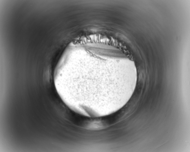 X0000088130651200706041949