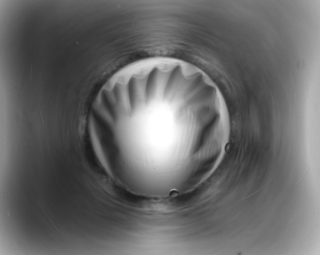 X0000088130652200706041949