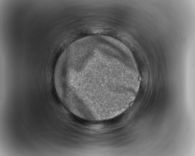 X0000088130653200706041949