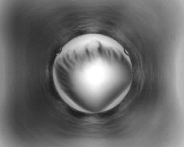 X0000088130655200706041949