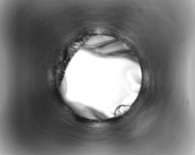 X0000088130657200706041949