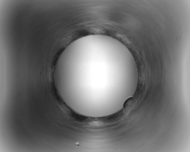 X0000088130658200706041949