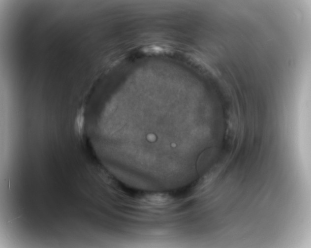 X0000088130659200706041949