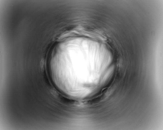 X0000088130660200706041949