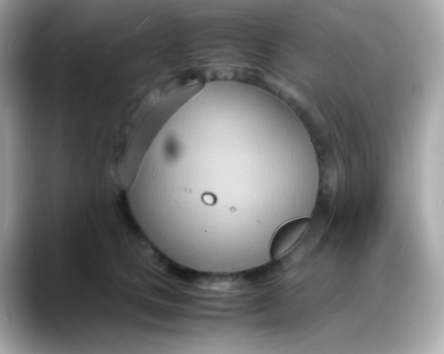 X0000088130661200706041949