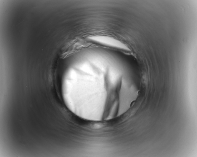 X0000088130662200706041949