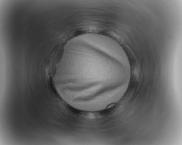 X0000088130663200706041949