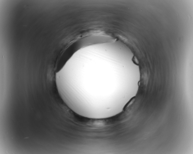 X0000088130665200706041949