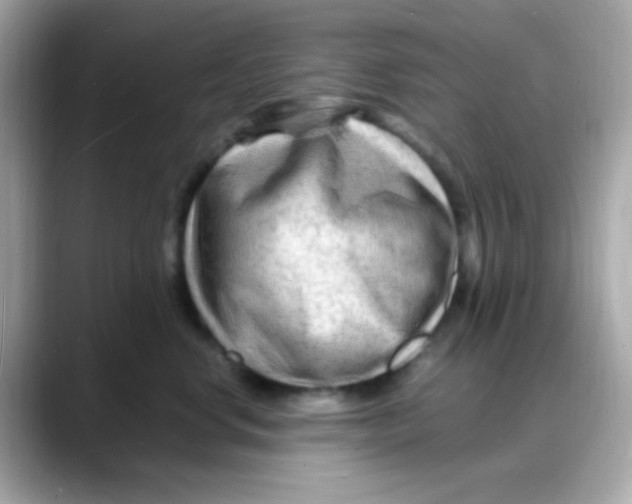 X0000088130668200706041949