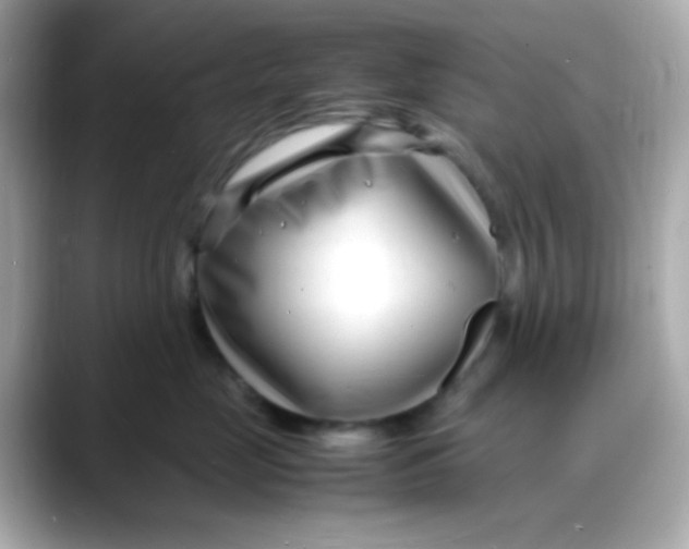 X0000088130669200706041949