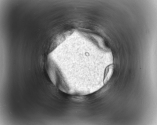 X0000088130671200706041950