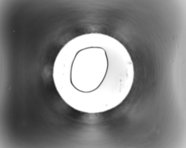 X0000088130672200706041950